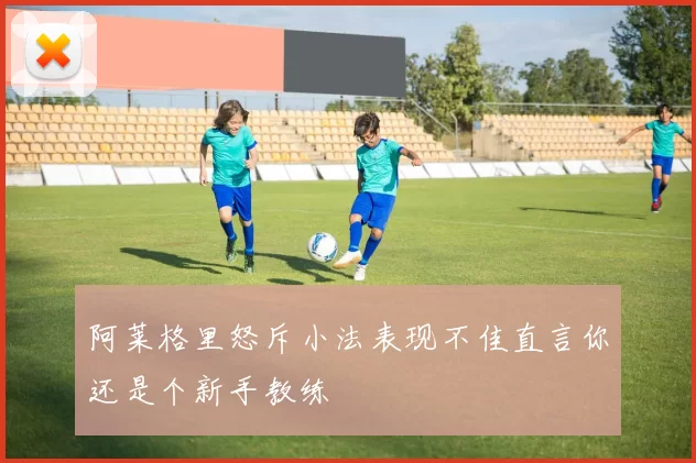阿莱格里怒斥小法表现不佳直言你还是个新手教练